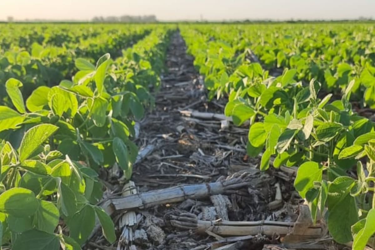 Representación gráfica de la plataforma Origen en Red que muestra datos de producción agrícola y sus indicadores ambientales
